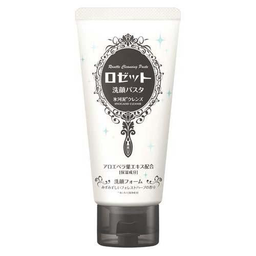 Rosette Face Wash Pasta Glacial Clay Cleanser 120g